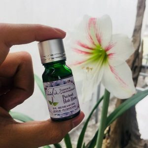 Tinh dầu hoắc hương ÚI CHÀ 10ml