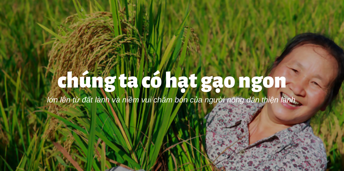 Banner Slide Home Mua Thu Hoach (1)