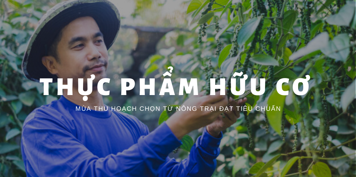 Banner Slide Home Mua Thu Hoach (2)