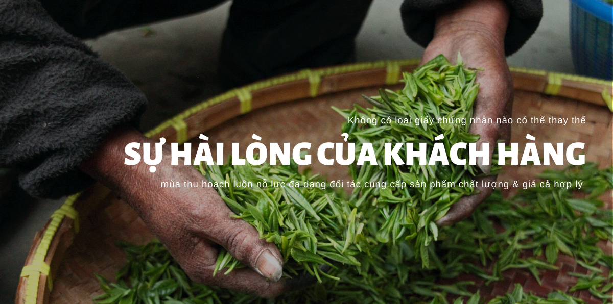 Banner Slide Home Mua Thu Hoach (5)