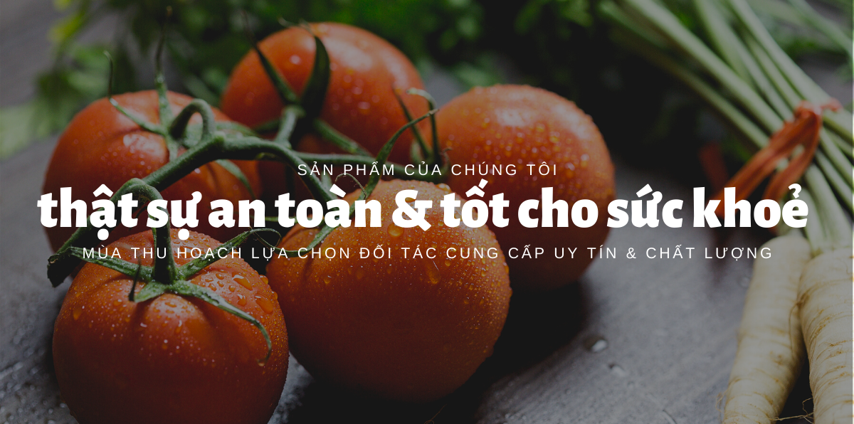 Banner Slide Home Mua Thu Hoach (6)